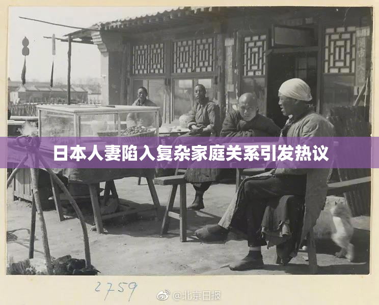 日本人妻陷入复杂家庭关系引发热议