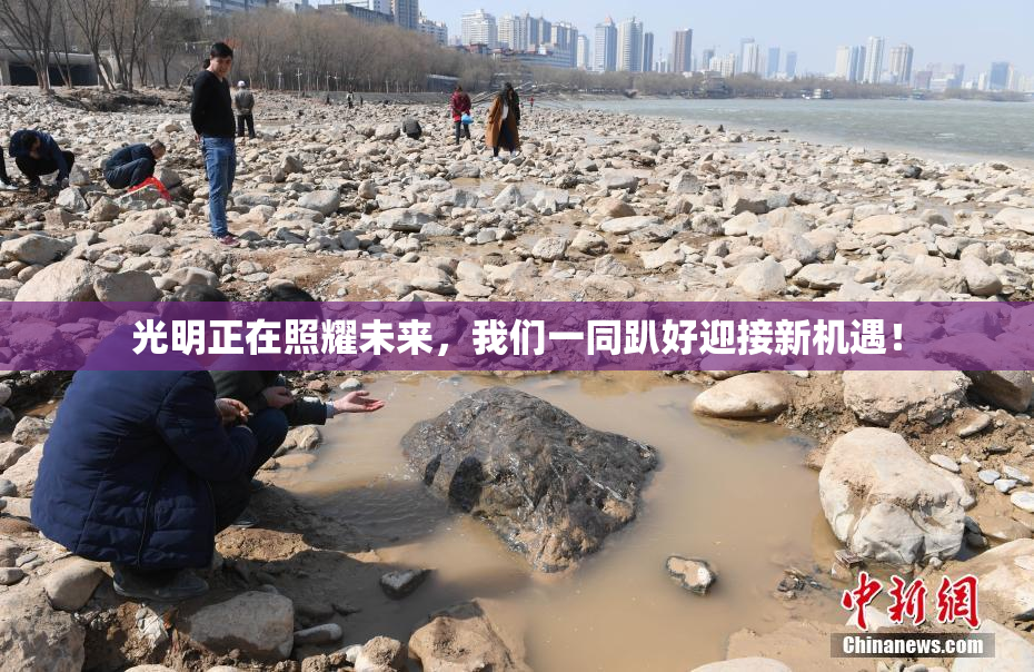 光明正在照耀未来，我们一同趴好迎接新机遇！