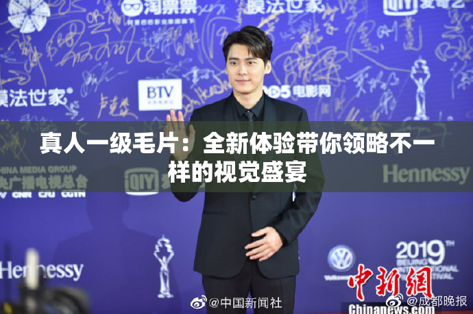 真人一级毛片：全新体验带你领略不一样的视觉盛宴