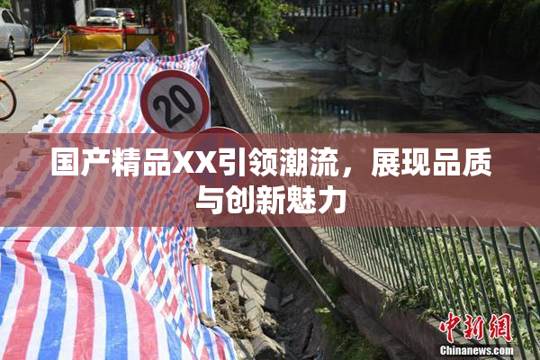 国产精品XX引领潮流，展现品质与创新魅力