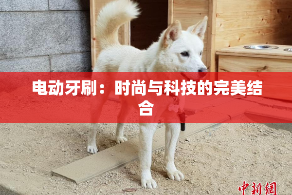 电动牙刷：时尚与科技的完美结合