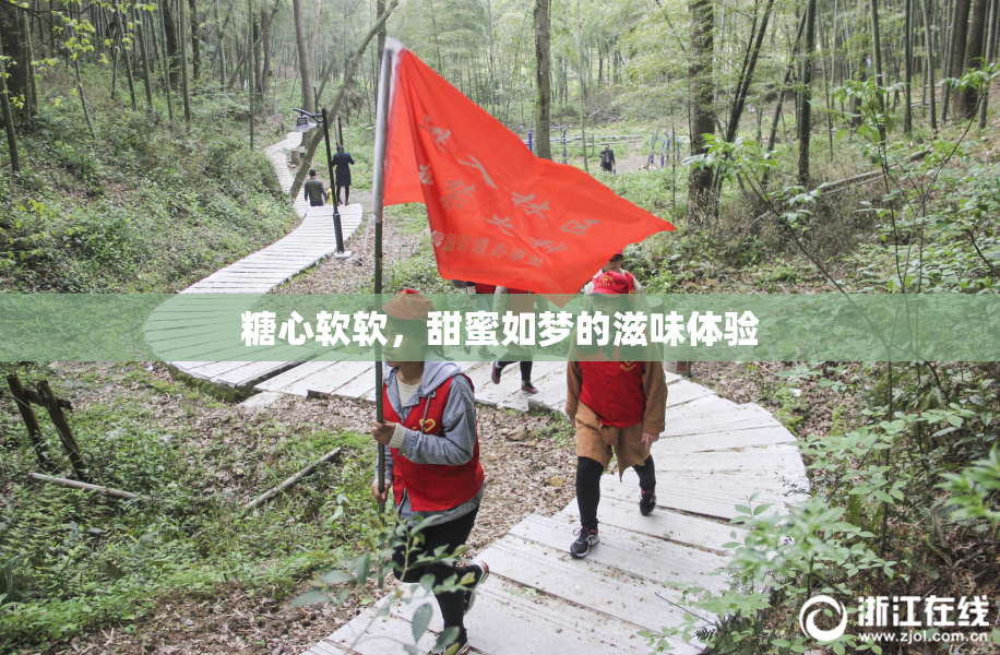 糖心软软，甜蜜如梦的滋味体验