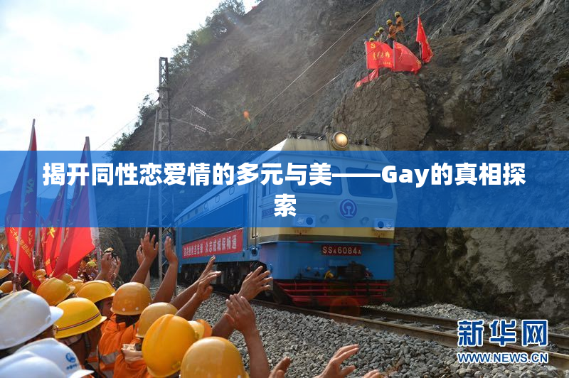 揭开同性恋爱情的多元与美——Gay的真相探索