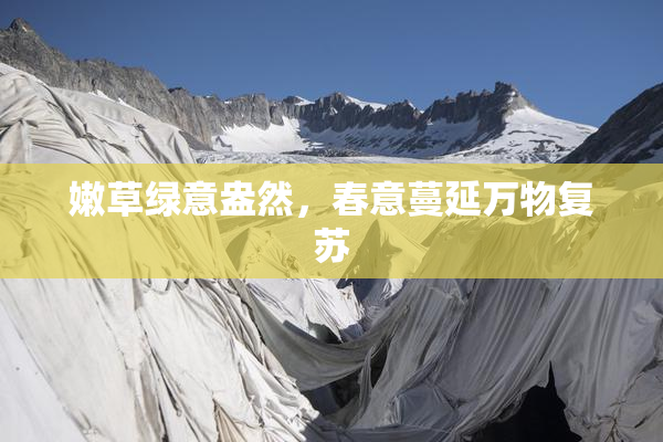 嫩草绿意盎然，春意蔓延万物复苏