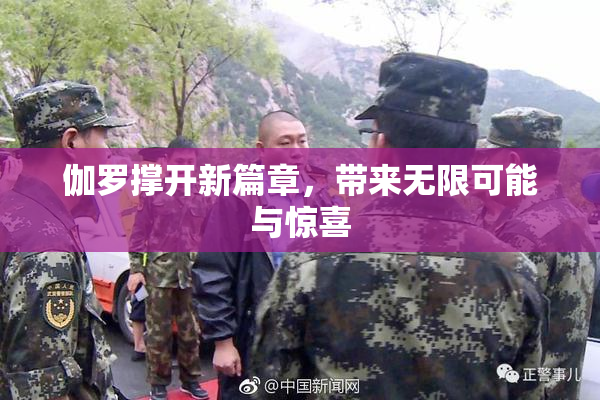伽罗撑开新篇章，带来无限可能与惊喜