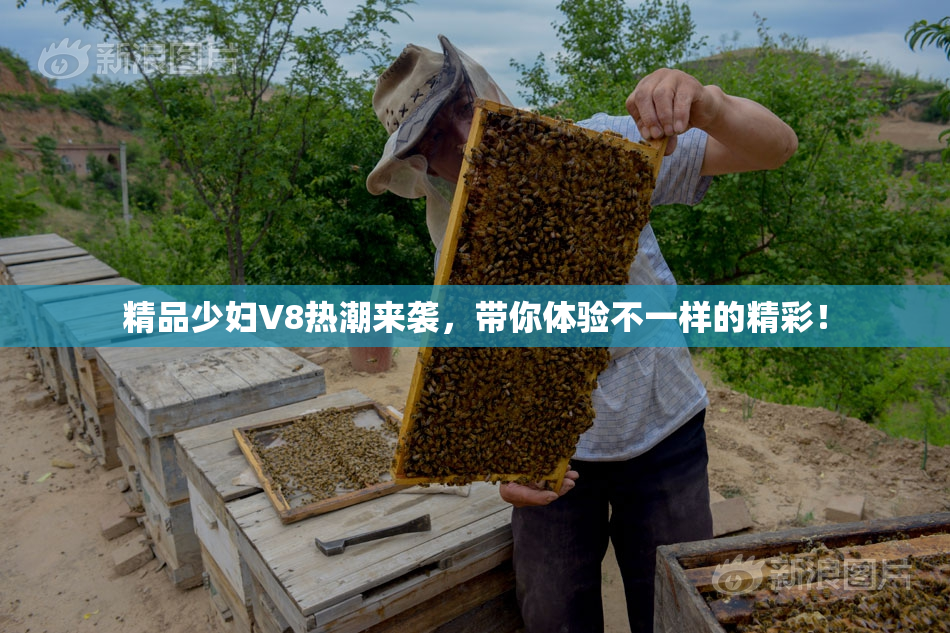 精品少妇V8热潮来袭，带你体验不一样的精彩！