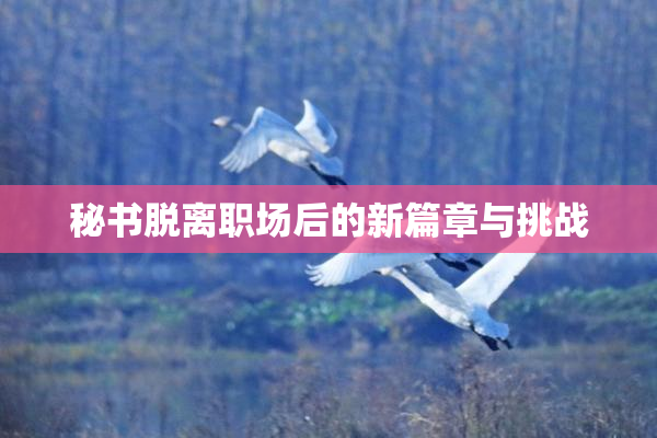 秘书脱离职场后的新篇章与挑战