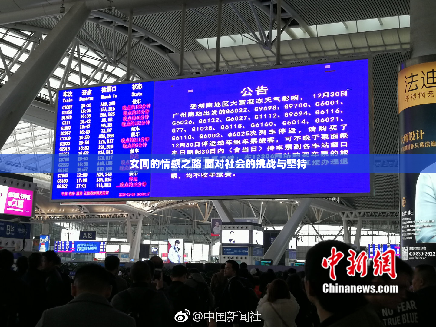 女同的情感之路 面对社会的挑战与坚持