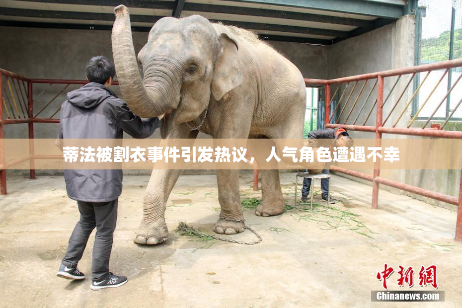 蒂法被割衣事件引发热议，人气角色遭遇不幸