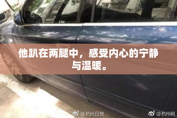 他趴在两腿中，感受内心的宁静与温暖。