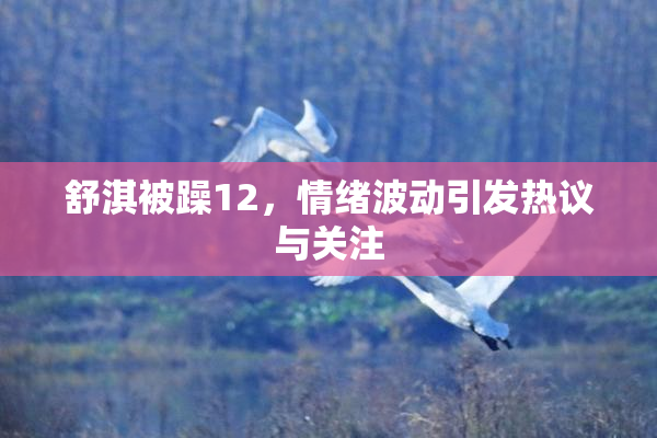舒淇被躁12，情绪波动引发热议与关注