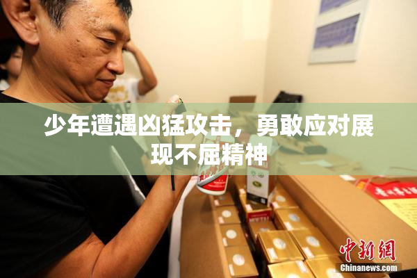 少年遭遇凶猛攻击，勇敢应对展现不屈精神