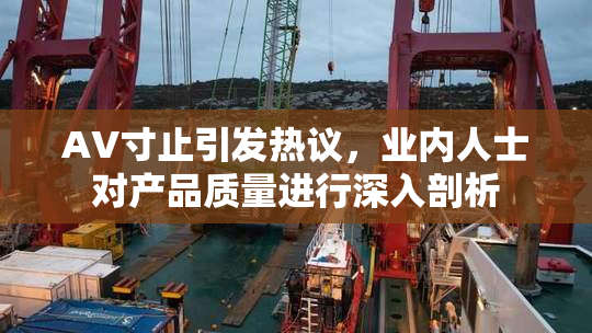 AV寸止引发热议，业内人士对产品质量进行深入剖析