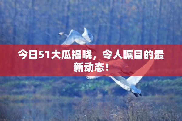 今日51大瓜揭晓，令人瞩目的最新动态！