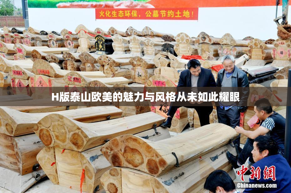 H版泰山欧美的魅力与风格从未如此耀眼