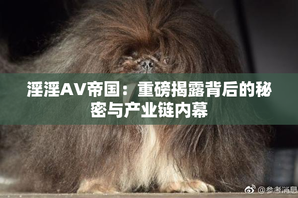 淫淫AV帝国：重磅揭露背后的秘密与产业链内幕