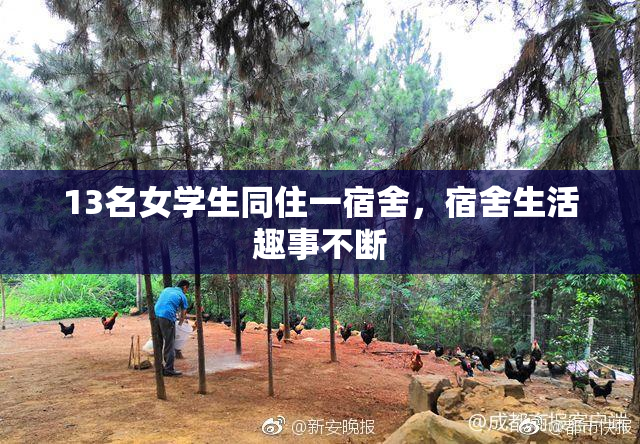 13名女学生同住一宿舍，宿舍生活趣事不断