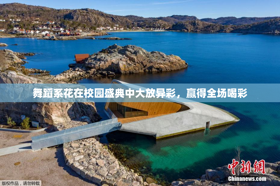 舞蹈系花在校园盛典中大放异彩，赢得全场喝彩