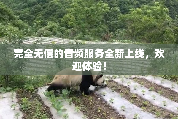 完全无偿的音频服务全新上线，欢迎体验！