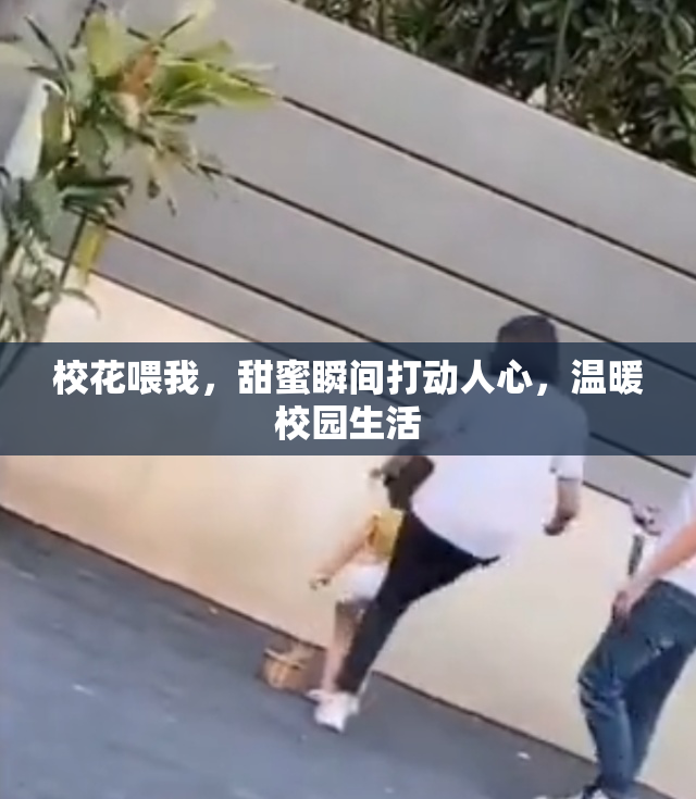 校花喂我，甜蜜瞬间打动人心，温暖校园生活