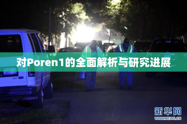 对Poren1的全面解析与研究进展