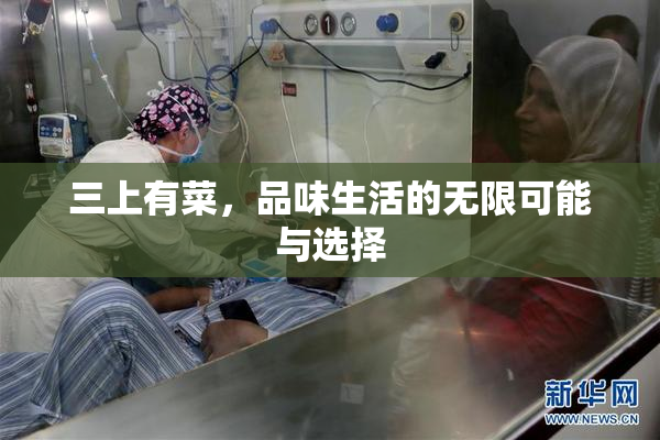 三上有菜，品味生活的无限可能与选择