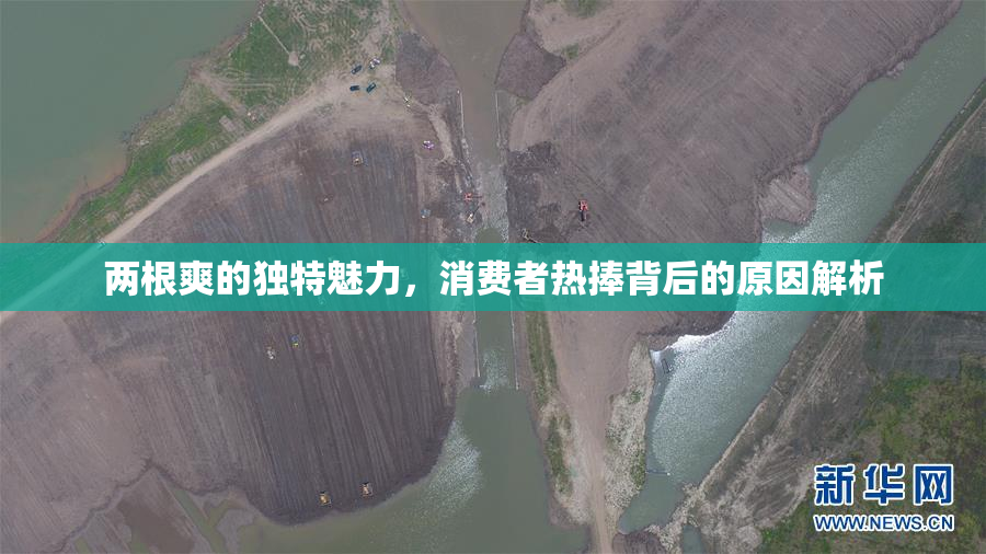 两根爽的独特魅力，消费者热捧背后的原因解析