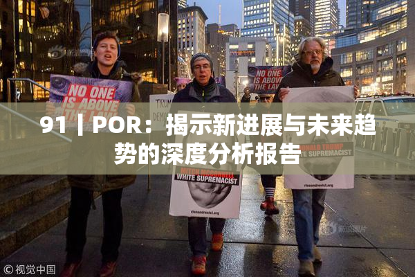 91丨POR：揭示新进展与未来趋势的深度分析报告