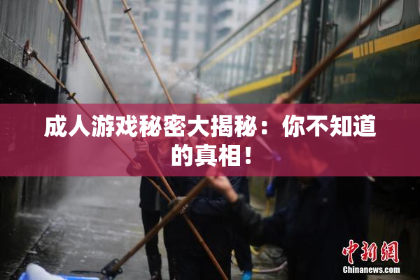 成人游戏秘密大揭秘：你不知道的真相！