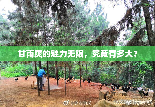 甘雨爽的魅力无限，究竟有多大？
