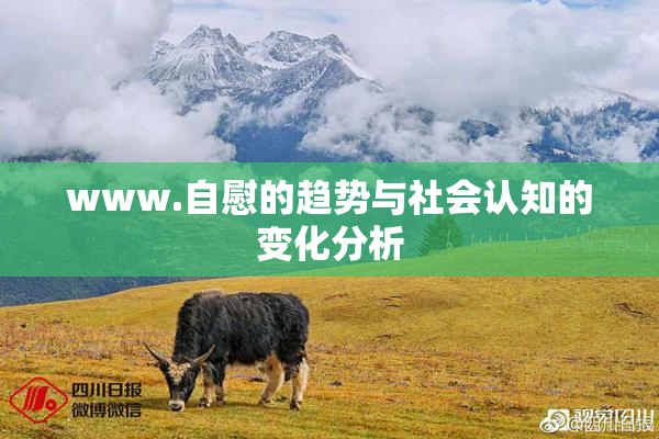 www.自慰的趋势与社会认知的变化分析