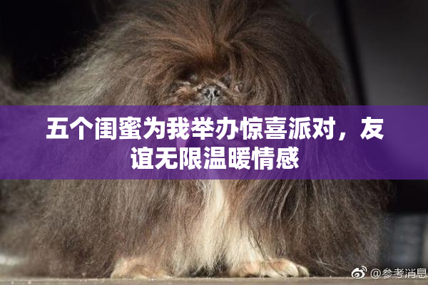 五个闺蜜为我举办惊喜派对，友谊无限温暖情感