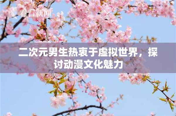 二次元男生热衷于虚拟世界，探讨动漫文化魅力