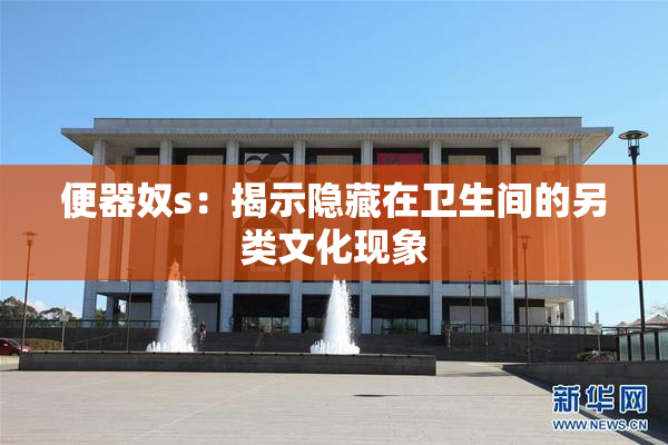 便器奴s：揭示隐藏在卫生间的另类文化现象