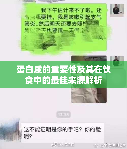 蛋白质的重要性及其在饮食中的最佳来源解析