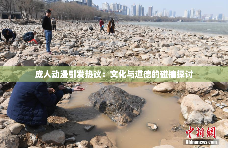 成人动漫引发热议：文化与道德的碰撞探讨