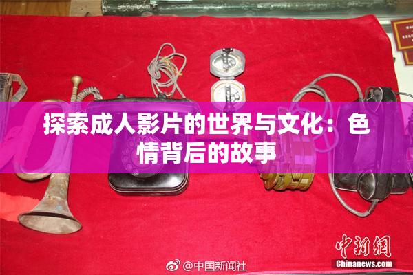 探索成人影片的世界与文化：色情背后的故事