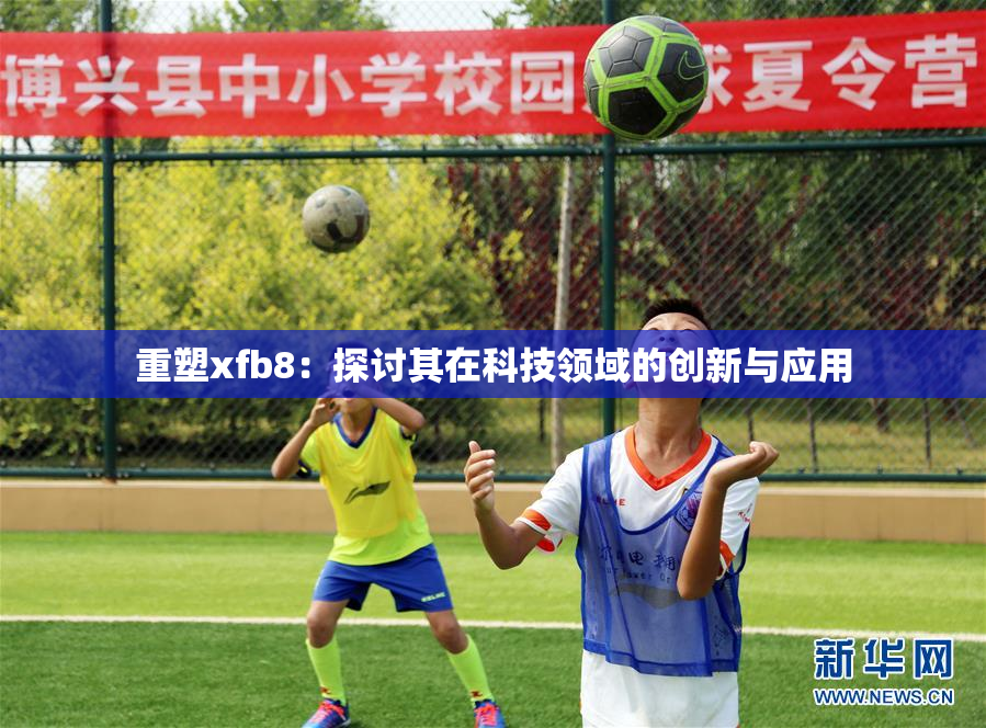 重塑xfb8：探讨其在科技领域的创新与应用