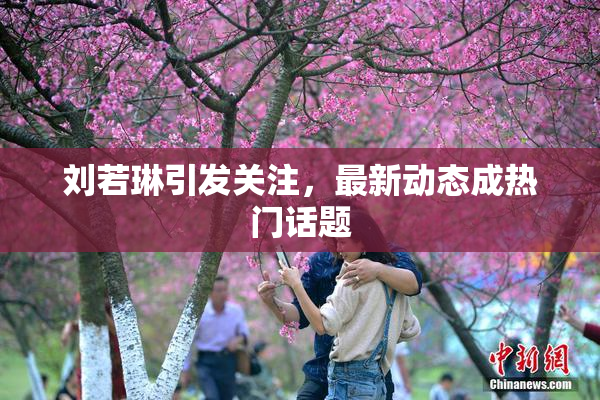 刘若琳引发关注，最新动态成热门话题