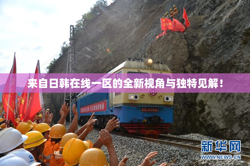 来自日韩在线一区的全新视角与独特见解！