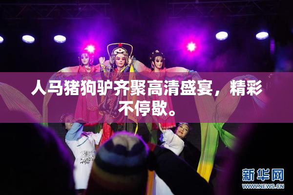 人马猪狗驴齐聚高清盛宴，精彩不停歇。