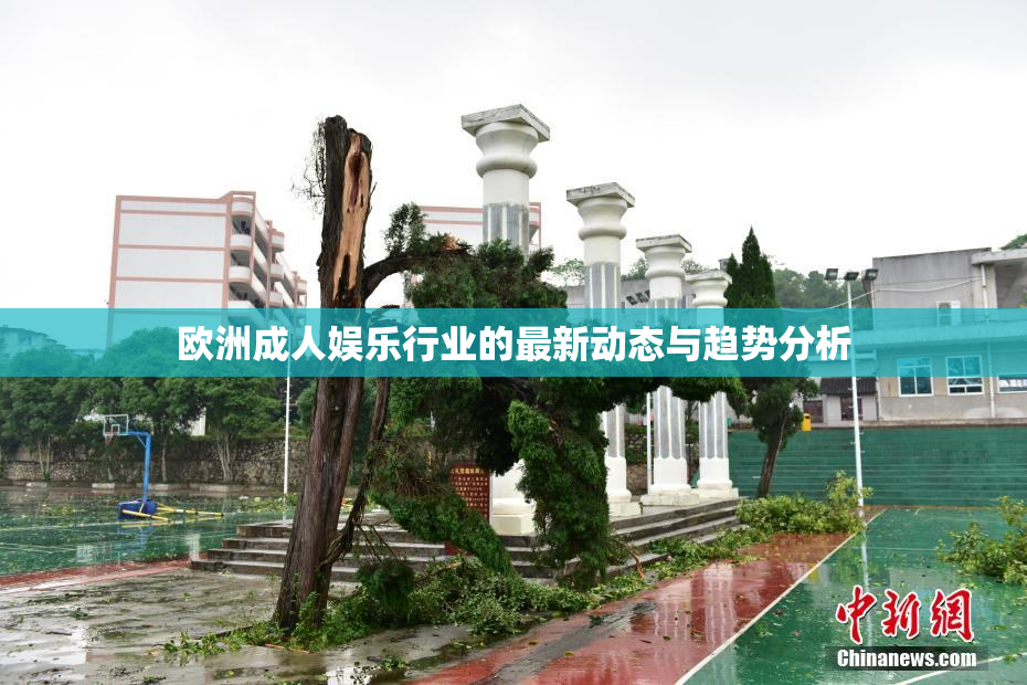 欧洲成人娱乐行业的最新动态与趋势分析