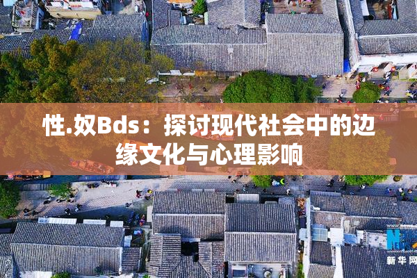 性.奴Bds：探讨现代社会中的边缘文化与心理影响