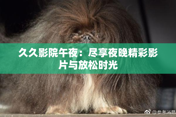 久久影院午夜：尽享夜晚精彩影片与放松时光