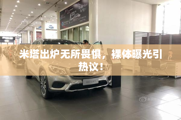 米塔出炉无所畏惧，裸体曝光引热议！