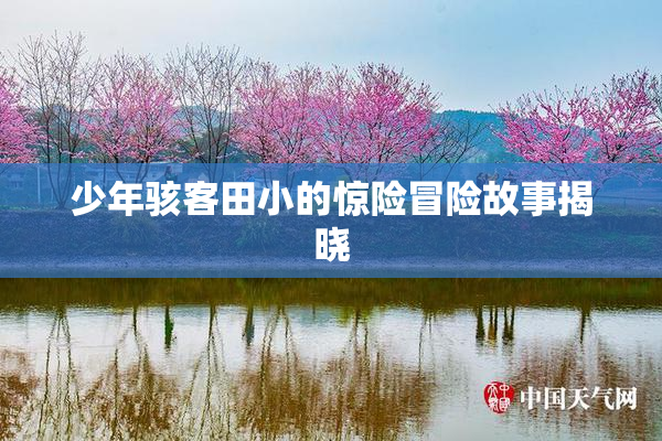 少年骇客田小的惊险冒险故事揭晓