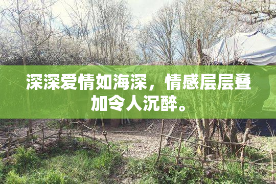 深深爱情如海深，情感层层叠加令人沉醉。