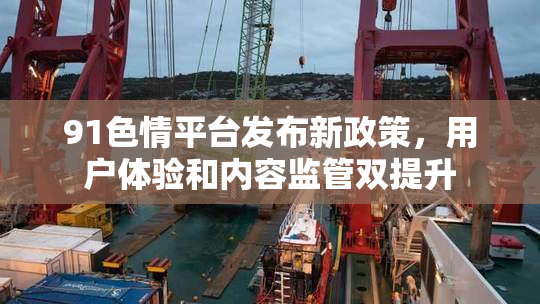 91色情平台发布新政策，用户体验和内容监管双提升