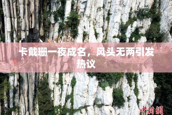 卡戴珊一夜成名，风头无两引发热议