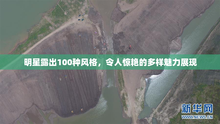 明星露出100种风格，令人惊艳的多样魅力展现